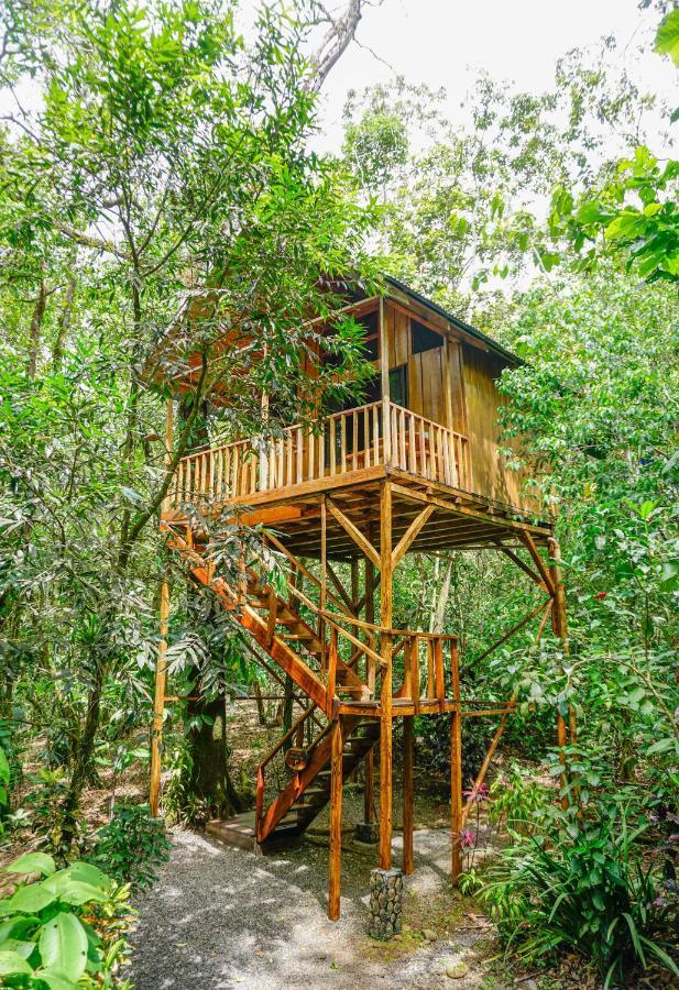 Tree Houses Hotel Costa Rica Florencia Экстерьер фото