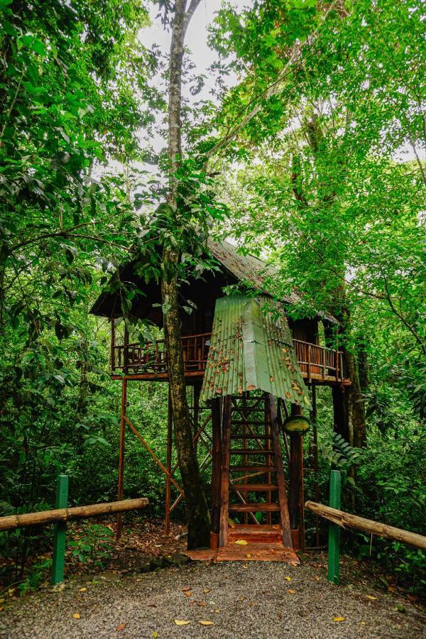 Tree Houses Hotel Costa Rica Florencia Экстерьер фото