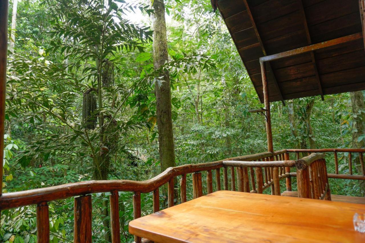 Tree Houses Hotel Costa Rica Florencia Экстерьер фото