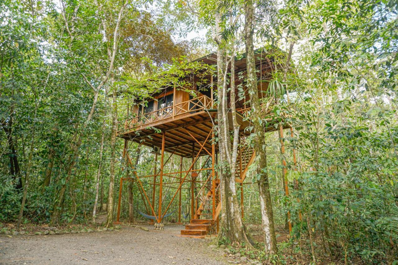 Tree Houses Hotel Costa Rica Florencia Экстерьер фото