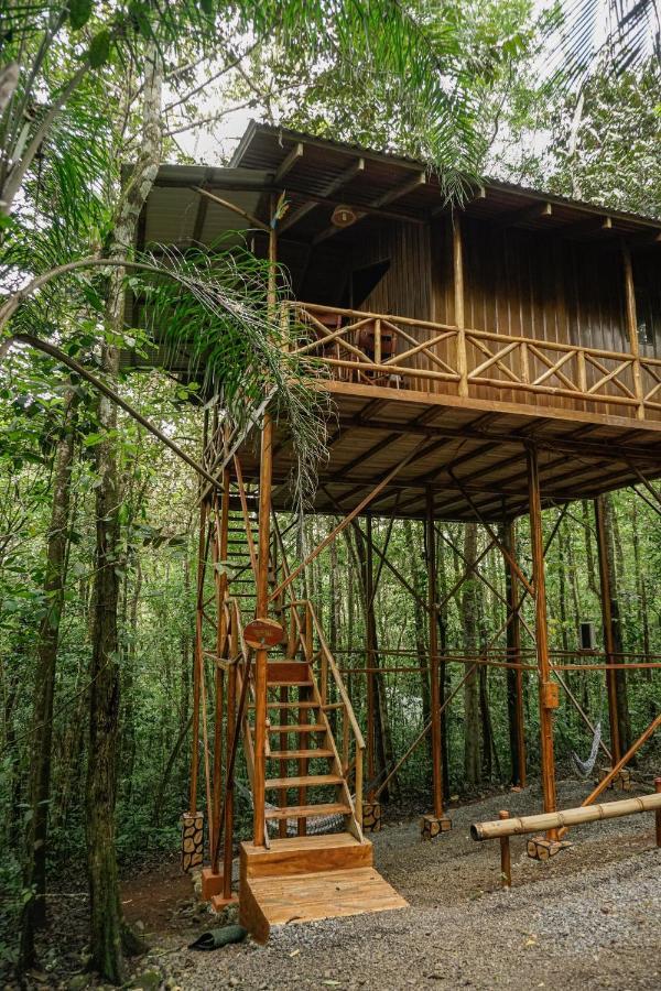 Tree Houses Hotel Costa Rica Florencia Экстерьер фото