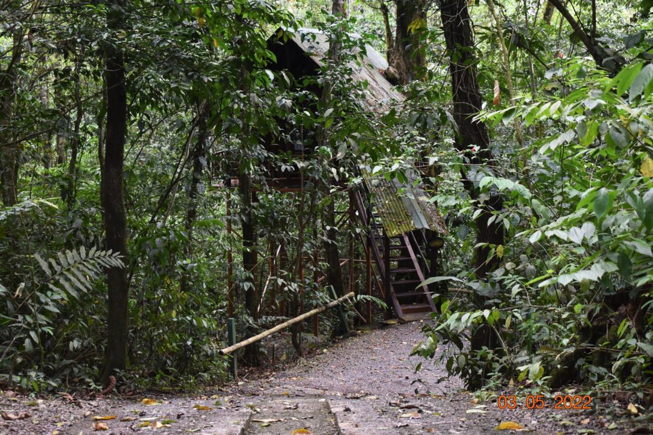 Tree Houses Hotel Costa Rica Florencia Экстерьер фото