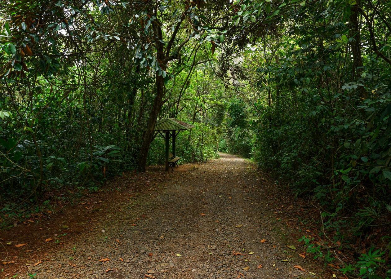 Tree Houses Hotel Costa Rica Florencia Экстерьер фото