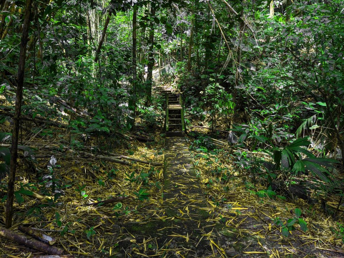 Tree Houses Hotel Costa Rica Florencia Экстерьер фото